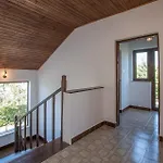 Pet Friendly In Vikendica Porec