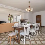 Pet Friendly In Porec